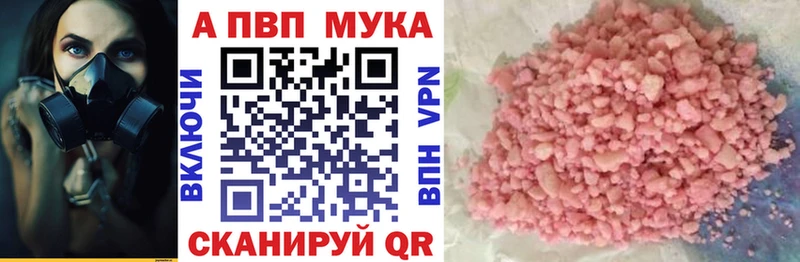 Сколько стоит Циолковский omg маркетплейс  Гашиш 