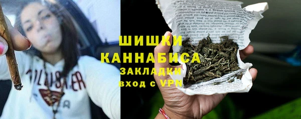 PSILOCYBIN Майский