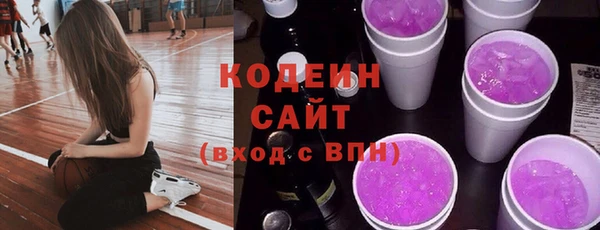 крисы Магас