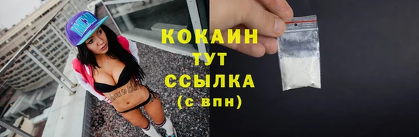 PSILOCYBIN Майский