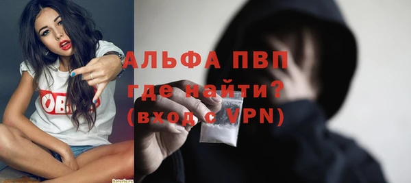 PSILOCYBIN Майский