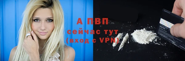 крисы Магас