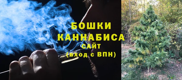 PSILOCYBIN Майский