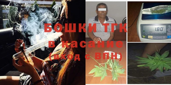 крисы Магас