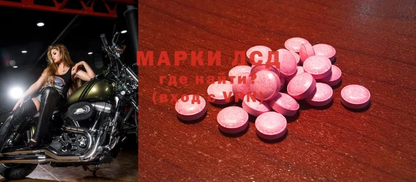 PSILOCYBIN Майский