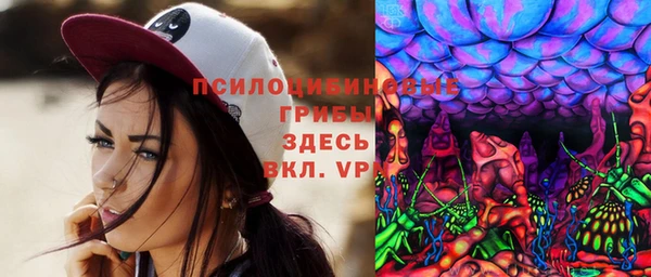 стафф Магадан