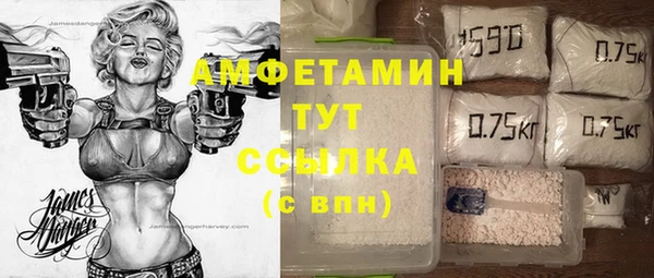 PSILOCYBIN Майский