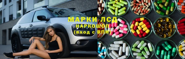 крисы Магас