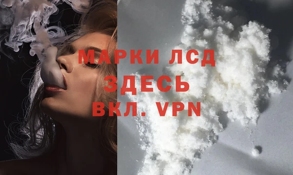 крисы Магас