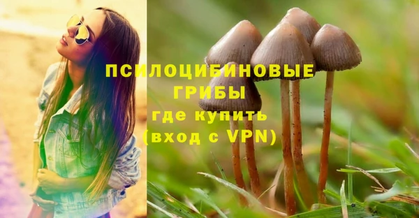 стафф Магадан