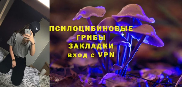 крисы Магас