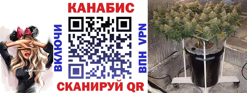 mega ONION  сайты даркнета телеграм  МАРИХУАНА VHQ  что такое наркотик  Циолковский 